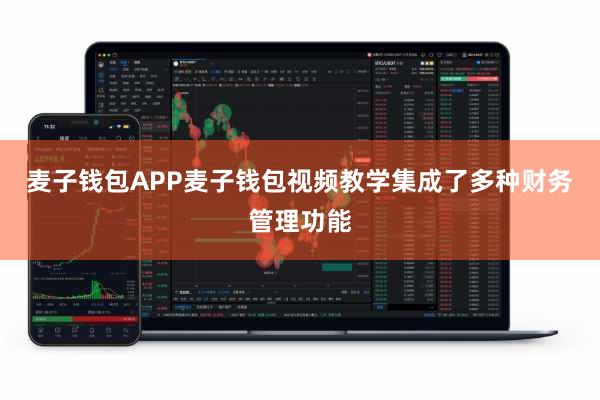麦子钱包APP麦子钱包视频教学集成了多种财务管理功能