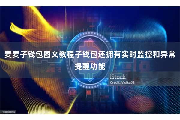 麦麦子钱包图文教程子钱包还拥有实时监控和异常提醒功能