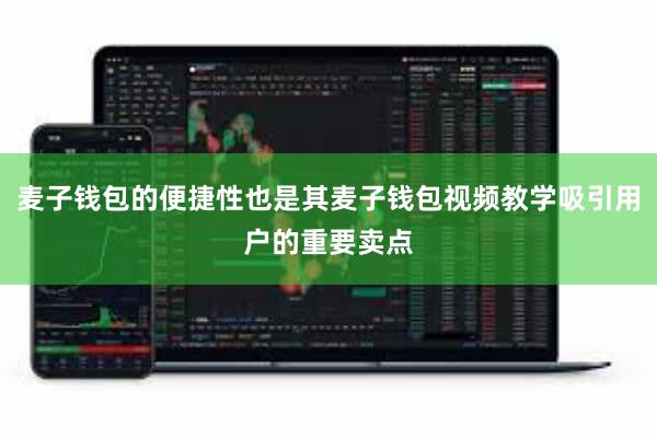 麦子钱包的便捷性也是其麦子钱包视频教学吸引用户的重要卖点