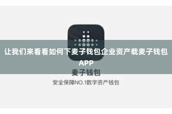 让我们来看看如何下麦子钱包企业资产载麦子钱包APP