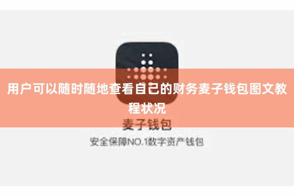 用户可以随时随地查看自己的财务麦子钱包图文教程状况