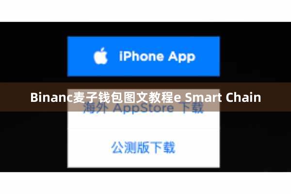 Binanc麦子钱包图文教程e Smart Chain