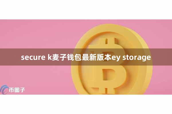 secure k麦子钱包最新版本ey storage