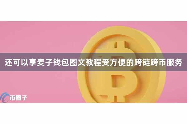 还可以享麦子钱包图文教程受方便的跨链跨币服务