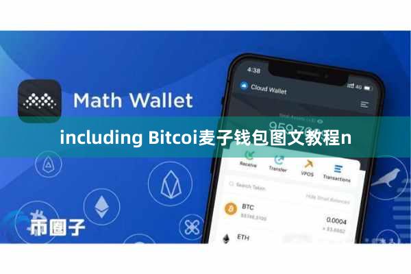 including Bitcoi麦子钱包图文教程n