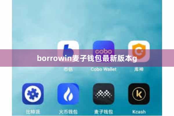 borrowin麦子钱包最新版本g