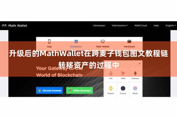 升级后的MathWallet在跨麦子钱包图文教程链转移资产的过程中