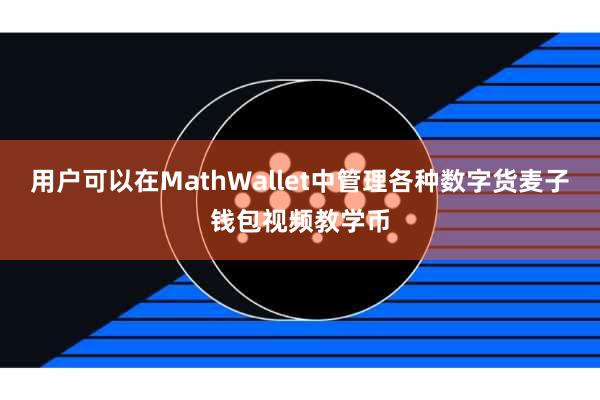 用户可以在MathWallet中管理各种数字货麦子钱包视频教学币