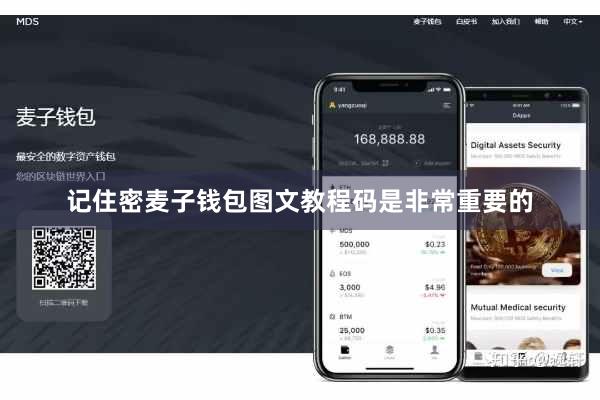 记住密麦子钱包图文教程码是非常重要的