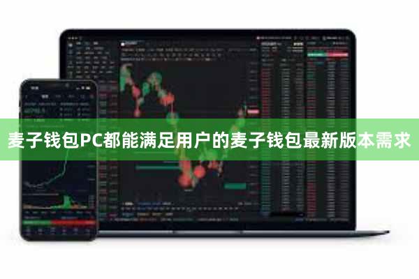 麦子钱包PC都能满足用户的麦子钱包最新版本需求