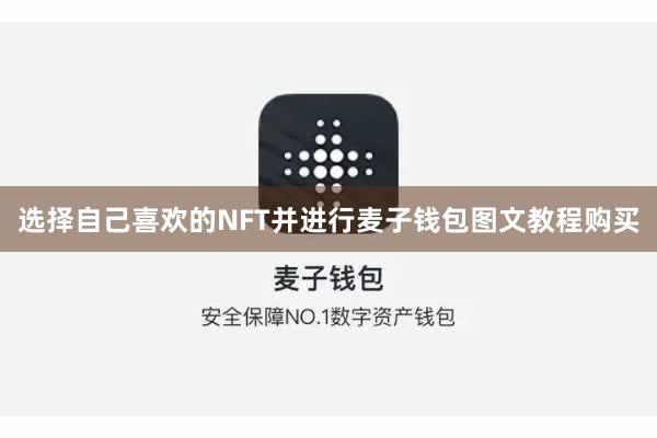 选择自己喜欢的NFT并进行麦子钱包图文教程购买
