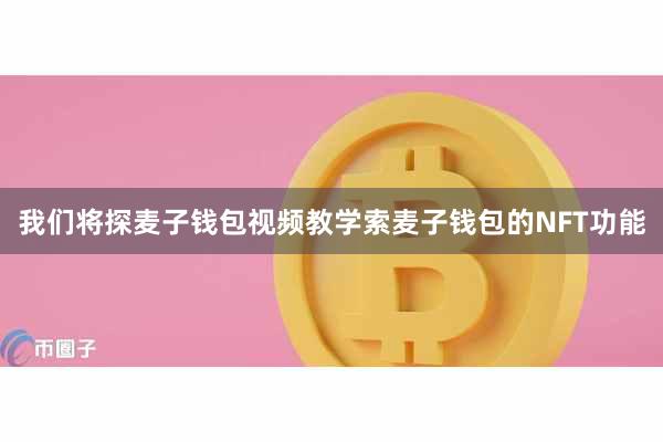 我们将探麦子钱包视频教学索麦子钱包的NFT功能