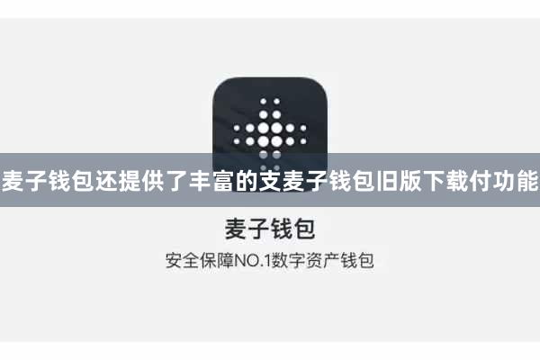 麦子钱包还提供了丰富的支麦子钱包旧版下载付功能