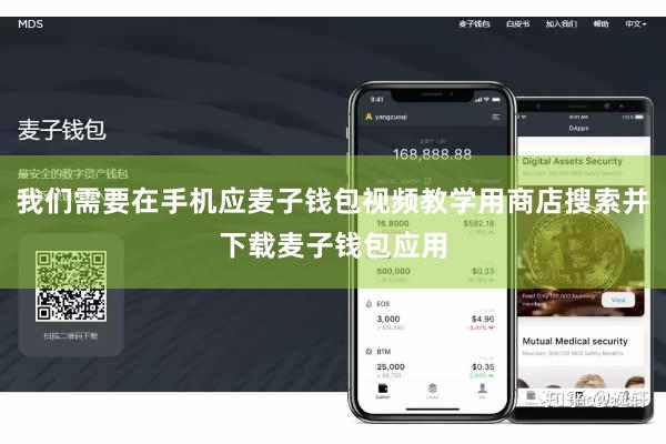 我们需要在手机应麦子钱包视频教学用商店搜索并下载麦子钱包应用