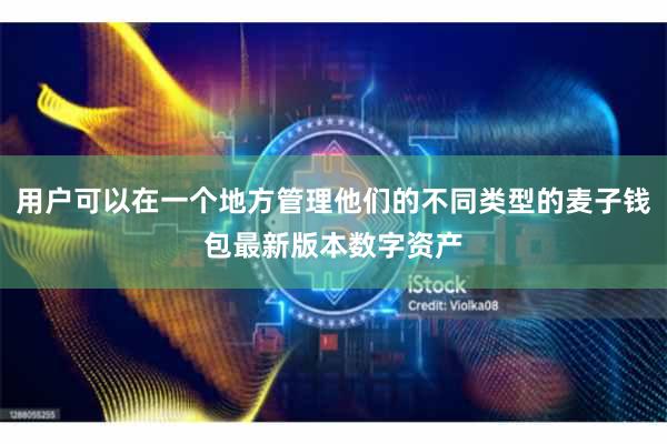 用户可以在一个地方管理他们的不同类型的麦子钱包最新版本数字资产
