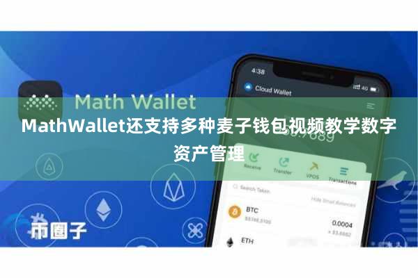 MathWallet还支持多种麦子钱包视频教学数字资产管理